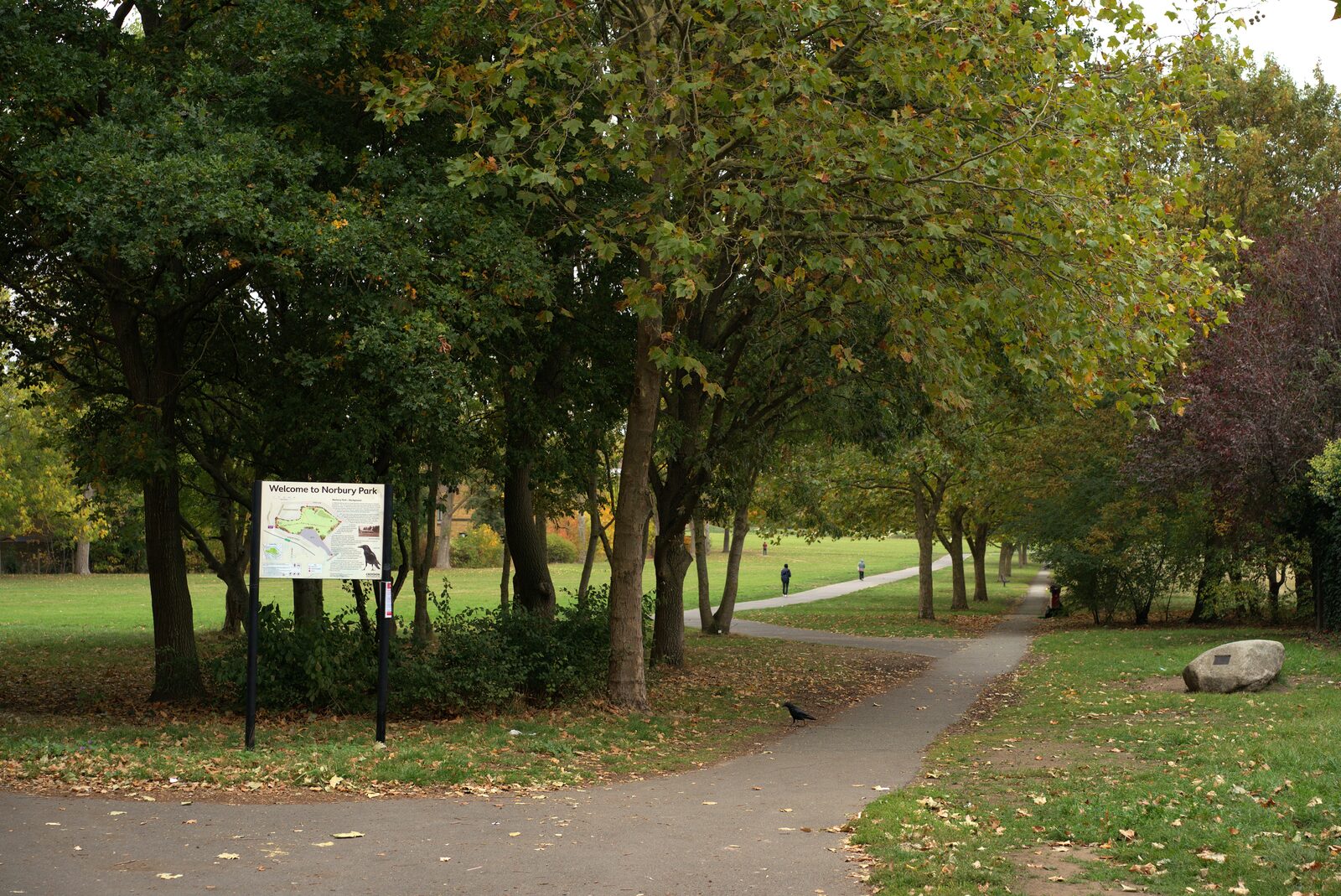 A view across Norbury Park in Croydon with grass and trees